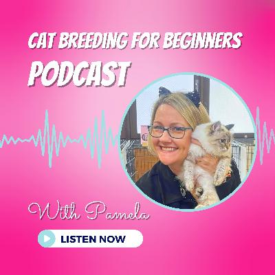 "How Do You Get Your Breeding Cats To Call" - The Cat Breeding For Beginners Podcast