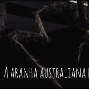 Os Diários Esquecidos - Histórias de Terror