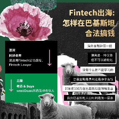 Fintech出海：怎样在巴基斯坦合法搞钱