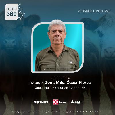 #16 - Engorde bovino - Zoot. MSc. Óscar Flores