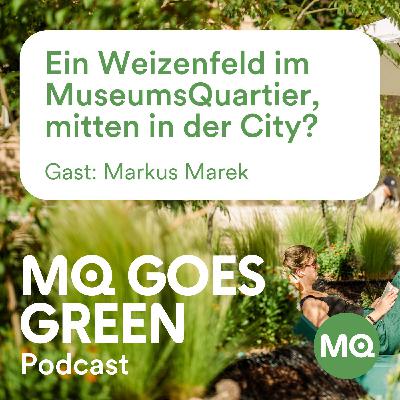 MQ goes Green | Episode 1: Ein Weizenfeld im MuseumsQuartier, mitten in der City?