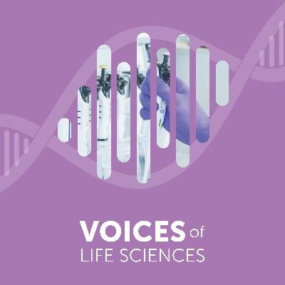 Mental health and work-life balance