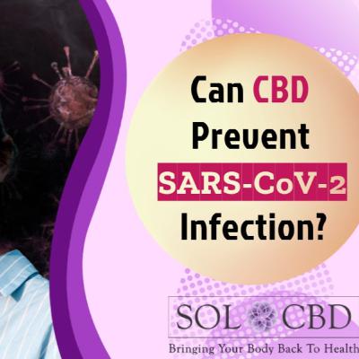 Could CBD Help Prevent SARS-CoV-2? Learn More