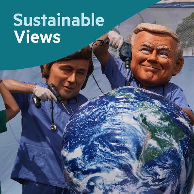 Has COP30 delivered in giving the world a sense of direction in climate action?