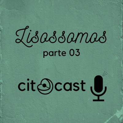 Lisossomos - Patologias