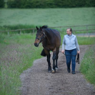 Caring for the Older Horse Caring for the Older Horse