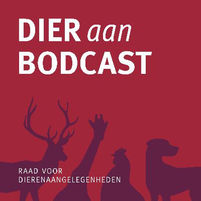 #4 Het verleden, het heden en de toekomst van het vlees eten