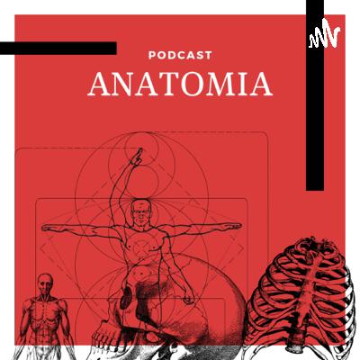 Esqueleto humano e Variações anatômicas