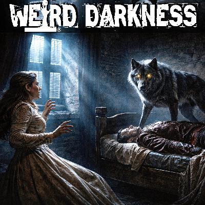 Bisclavret: The Werewolf | His Wife Discovered His Secret, And Used It To Destroy Him!