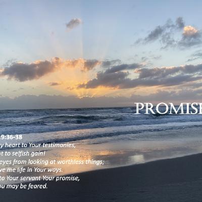 Episode 138: Promise #138 - Promises