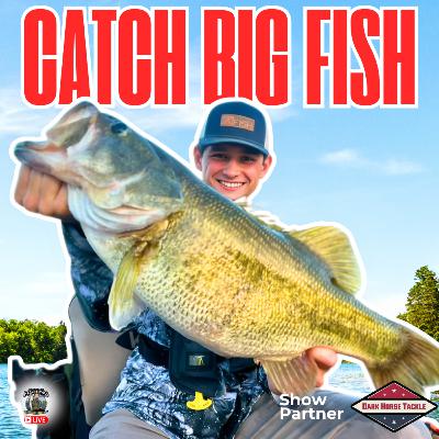 How to DOMINATE Summer Bass Fishing