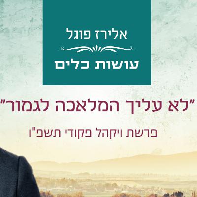 אלירז פוגל - "לא עליך המלאכה לגמור" פרשת ויקהל פקודי תשפ"ו אלירז פוגל - "לא עליך המלאכה לגמור" פרשת ויקהל פקודי תשפ"ו