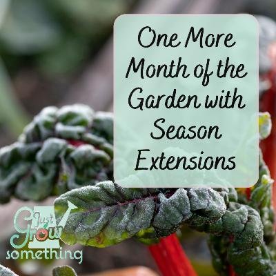 One More Month of Harvests - Ep. 274