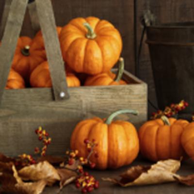 HOROSKOPY: Ryby, rozum a cit jsou to, co se ve vás sváří, a můžete se chovat proti vší logice