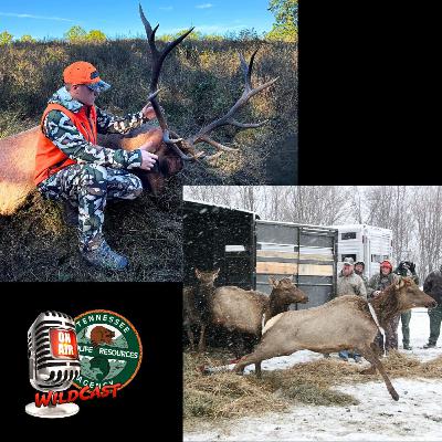 #458 Youth Elk Hunt for Red October, Celebrating 25 Years of Elk Restoration #458 Youth Elk Hunt for Red October, Celebrating 25 Years of Elk Restoration
