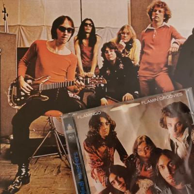 035 Flamingo (The Flamin’ Groovies) / Teenage Head (The Flamin’ Groovies)