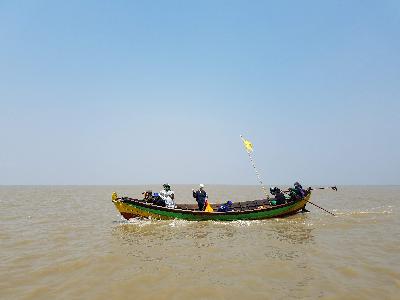 Finding wonder in muddy waters