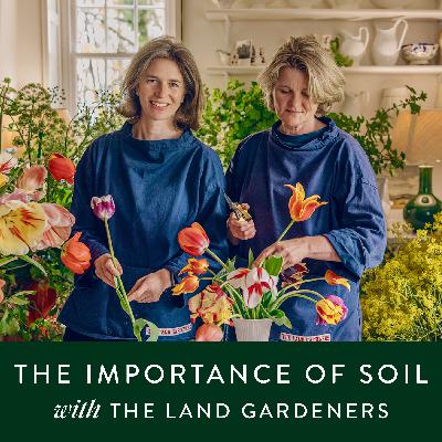 Gardening: Why soil is so important with the Land Gardeners Gardening: Why soil is so important with the Land Gardeners
