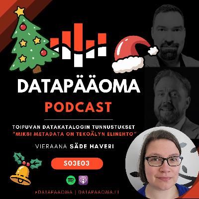 Toipuvan datakatalogin tunnustukset: “Miksi metadata on tekoälyn elinehto?“ - Vieraana Säde Haveri