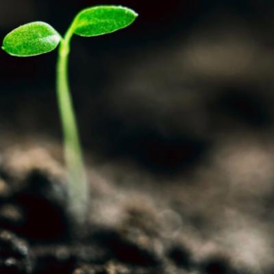 Environmental Science - Ep.1 - Carbon in the Ground