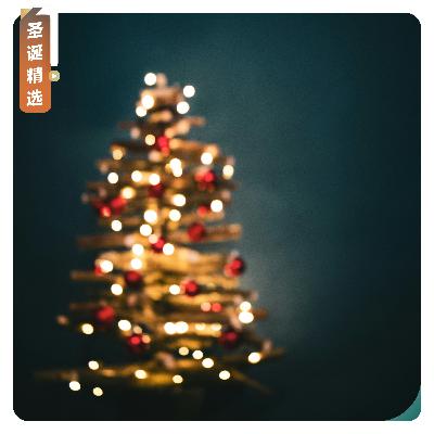 【圣诞精选】雪落圣诞，万事顺意