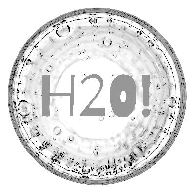 Water and the Hydrogen Bond!