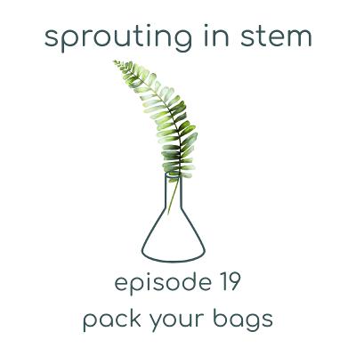 Pack Your Bags
