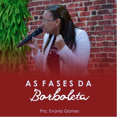 As fases da Borboleta