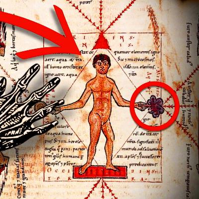 Haz Que la Vida Funcione a Tu Favor YA (Sin Tonterías)