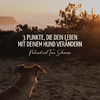 3 Punkte, die dein Leben mit deinem Hund verändern 3 Punkte, die dein Leben mit deinem Hund verändern