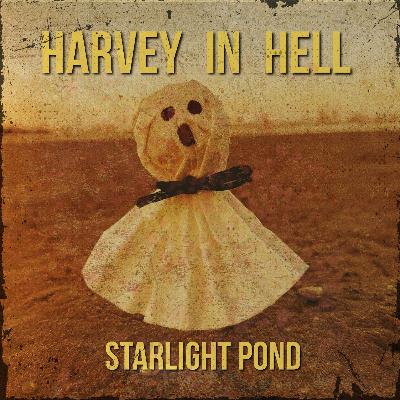 1. Starlight Pond