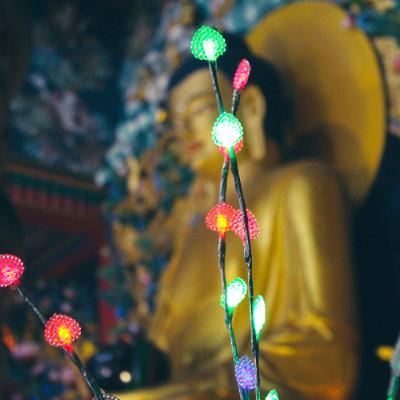 Ep. 514 Riflessioni sul Colore delle Sensazioni