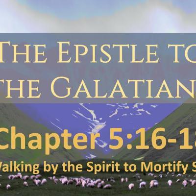 Episode 268: Gal. 5:16-18, The Spirit & the Flesh, 8.31.25
