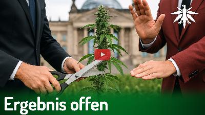 Ergebnis offen | DHV-News # 460