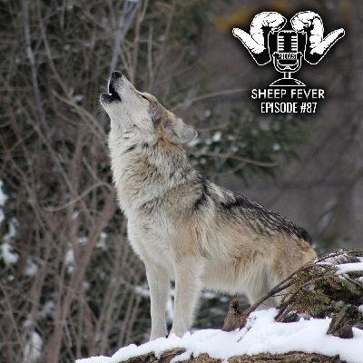 EP87 Wolves, Grizzlies, and the ESA – Is there daylight at the end of the tunnel?