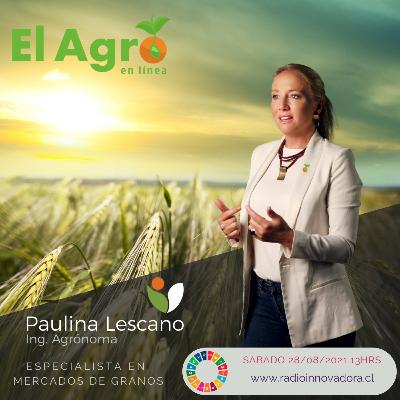 Entendiendo el mercado de los granos Entrevista a Paulina Lescano Entendiendo el mercado de los granos Entrevista a Paulina Lescano
