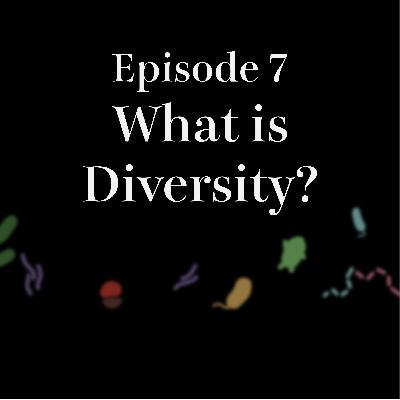 #7 What is diversity?