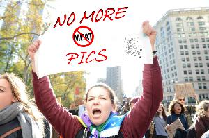 Ep. 44 - No More Meat Pics