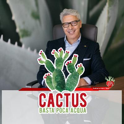 Cactus #18 - Incontri tra cactus - 28/01/2021 Cactus #18 - Incontri tra cactus - 28/01/2021
