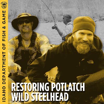 Ep. 4 - Restoring Potlatch Wild Steelhead With Robert Hand and Brian Knoth