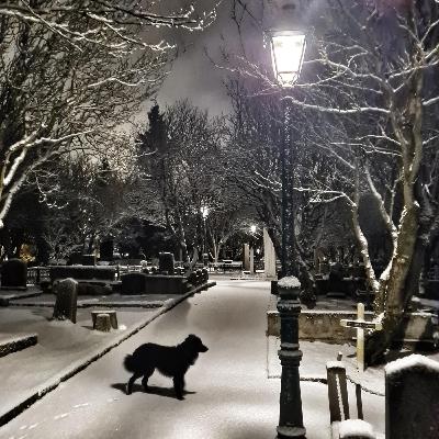 Ep.8 ภาษาช่วยชีวิต# ชีวิตที่สวยงามในต่างแดน