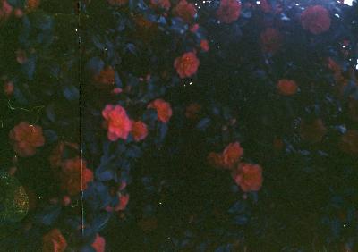 5 Questions- Second Synthesis 5 Questions- Second Synthesis