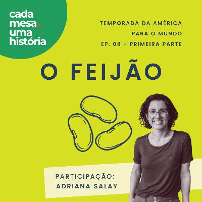 Feijão: o vegetal que sustenta o Brasil Feijão: o vegetal que sustenta o Brasil