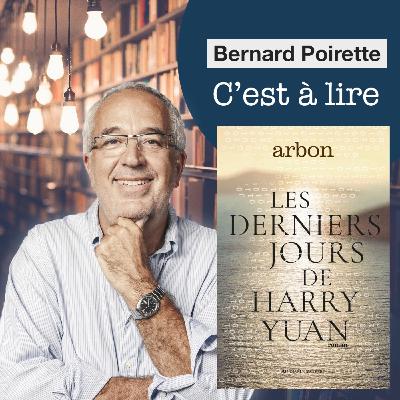 253. "Les Derniers Jours de Harry Yuan" de Jean-Pierre Arbon