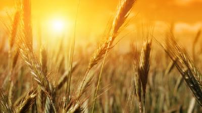 The Falling Away - Audio