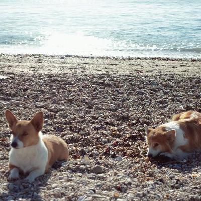 冬日在音乐波纹里填补遗憾 冬日在音乐波纹里填补遗憾