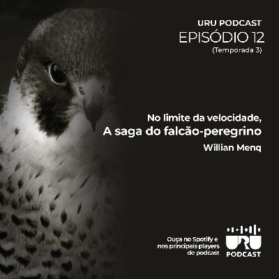 #039 - Falcão-Peregrino com William Menq #039 - Falcão-Peregrino com William Menq