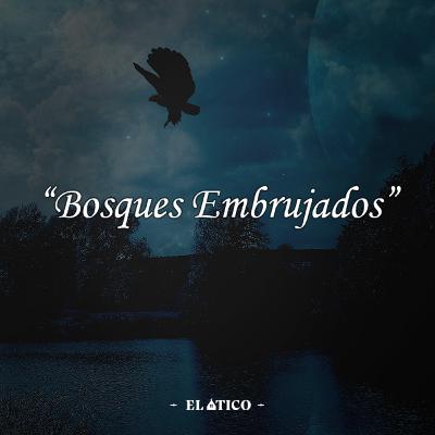 BOSQUES EMBRUJADOS