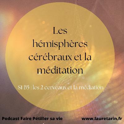 S2B5: les 2 cerveaux et la méditation S2B5: les 2 cerveaux et la méditation