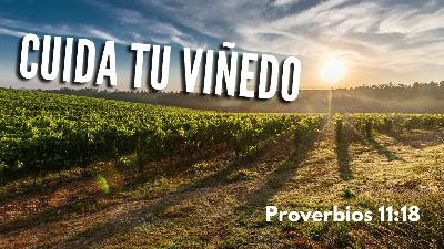 Cuida tu viñedo Cuida tu viñedo